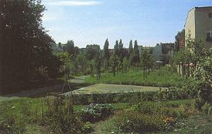 Der Comenius-Garten